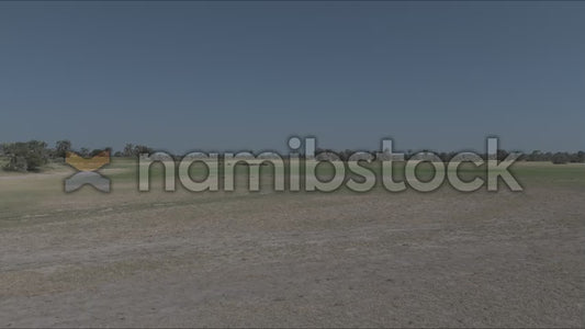Namibstock_clip1234763