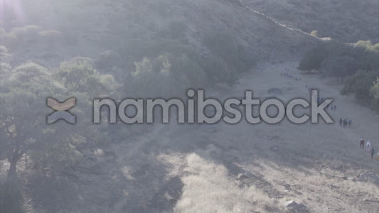Namibstock_clip1234754