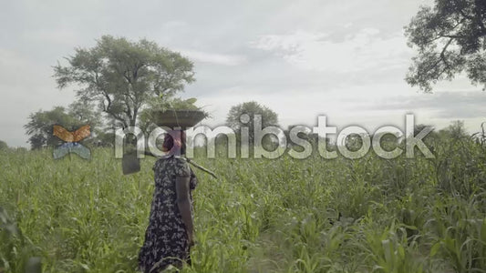 Namibstock_clip1234682