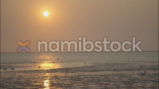 Namibstock_clip1234635