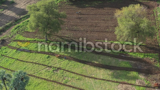 Namibstock_clip1234696