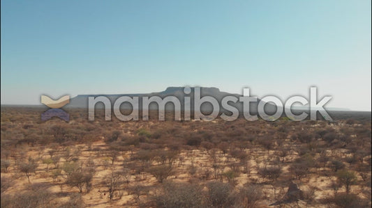 Namibstock_clip1234667