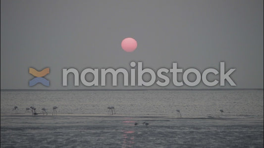Namibstock_clip1234636