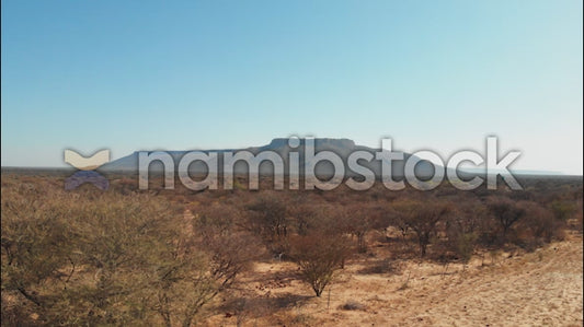Namibstock_clip1234666