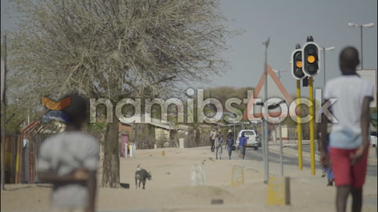 Namibstock_clip1234660